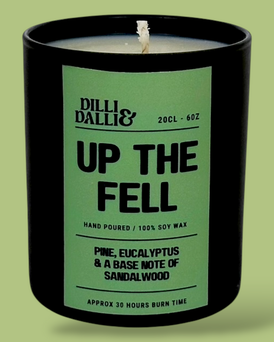UP THE FELL